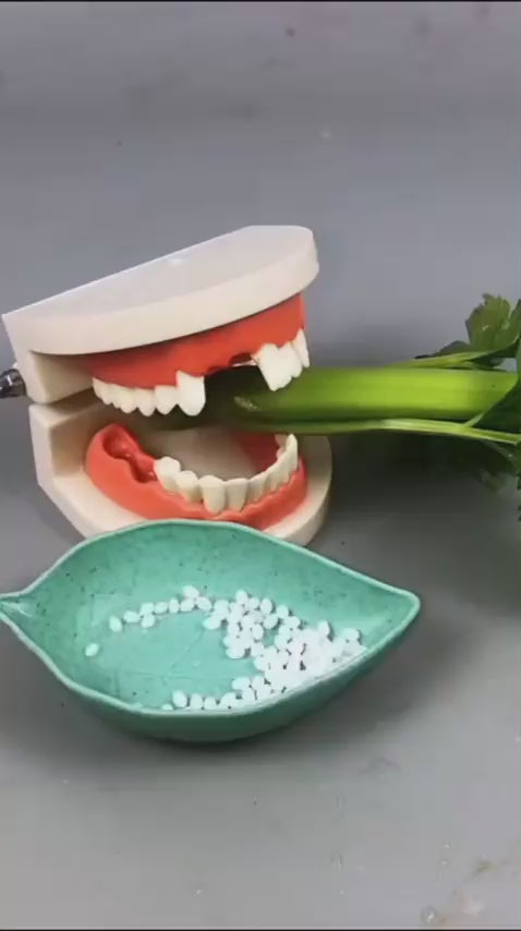 حبيبات تشكيل الأسنان